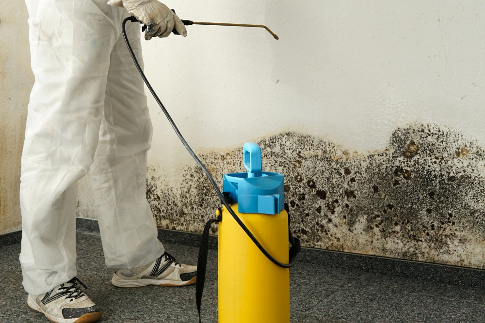 Mold testing technician at a mold-affected wall